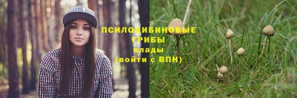 амфетамин Алексеевка