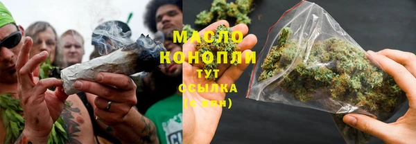 метадон Алексин