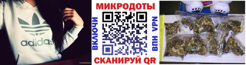 Галлюциногенные грибы Psilocybine cubensis  shop как зайти  Мирный  закладка 